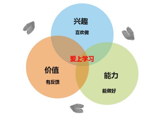上海外教选择指南，助您找到最优质的教师插图